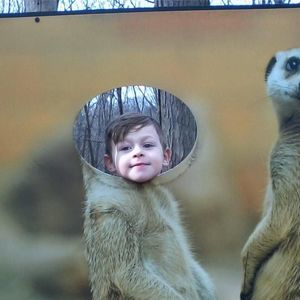 Meet your Posher, Kari